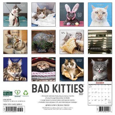Bad Kitties 2027 12" x 12" Wall Calendar