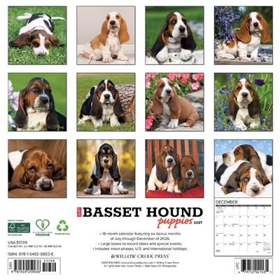 Basset Hound Puppies 2027 12" x 12" Wall Calendar