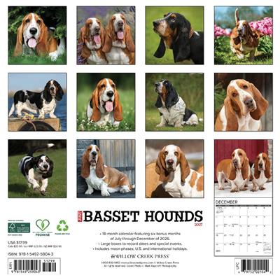 Basset Hounds 2027 12" x 12" Wall Calendar