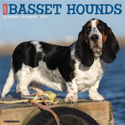 Basset Hounds 2027 12" x 12" Wall Calendar