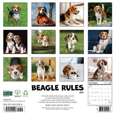 Beagle Rules 2027 12" x 12" Wall Calendar