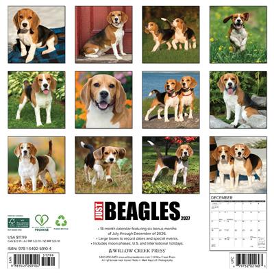 Beagles 2027 12" x 12" Wall Calendar