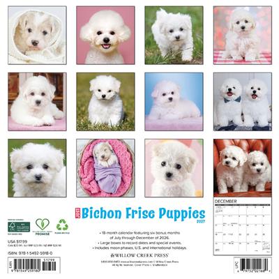 Bichon Frise Puppies 2027 12" x 12" Wall Calendar
