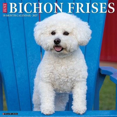 Bichon Frises 2027 12" x 12" Wall Calendar