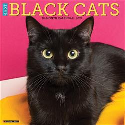 Black Cats 2027 12" x 12" Wall Calendar