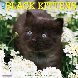 Black Kittens 2027 12" x 12" Wall Calendar