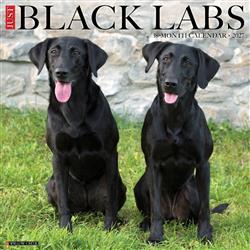Black Labs 2027 12" x 12" Wall Calendar
