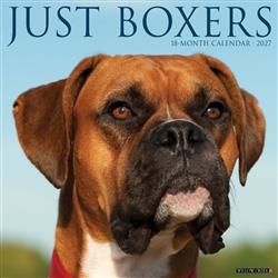 Boxers 2027 12" x 12" Wall Calendar