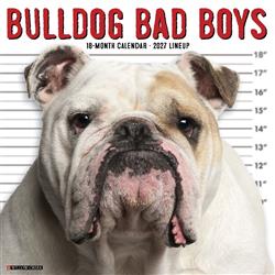 Bulldog Bad Boys 2027 12" x 12" Wall Calendar