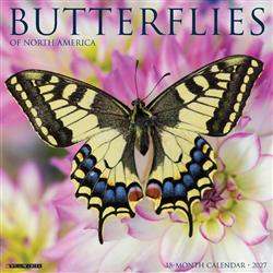 Butterflies of North America 2027 12" x 12" Wall Calendar