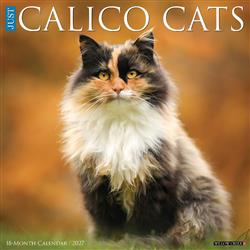 Calico Cats 2027 12" x 12" Wall Calendar