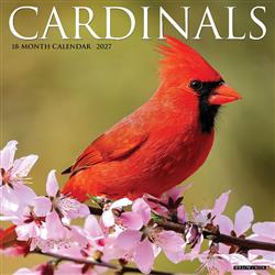 Cardinals 2027 12" x 12" Wall Calendar