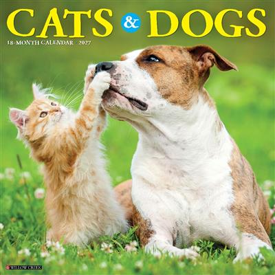 Cats & Dogs 2027 12" x 12" Wall Calendar