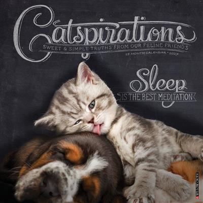 Catspirations 2027 12" x 12" Wall Calendar