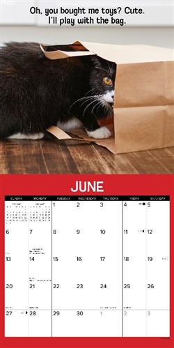 Cattitudes 2027 12" x 12" Wall Calendar