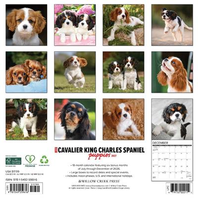 Cavalier King Charles Spaniel Puppies 2027 12" x 12" Wall Calendar