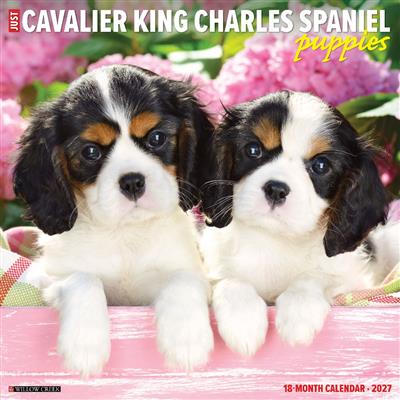 Cavalier King Charles Spaniel Puppies 2027 12" x 12" Wall Calendar