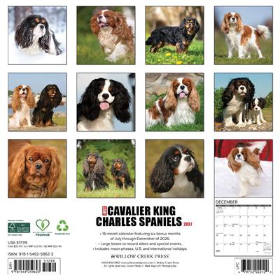 Cavalier King Charles Spaniels 2027 12" x 12" Wall Calendar