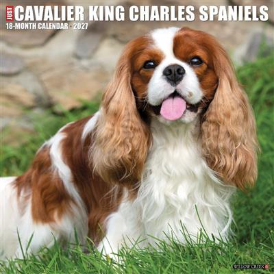 Cavalier King Charles Spaniels 2027 12" x 12" Wall Calendar