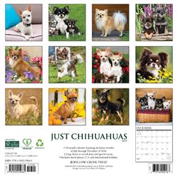 Extra Product Image