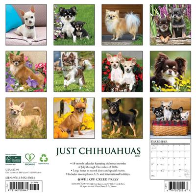 Chihuahuas 2027 12" x 12" Wall Calendar