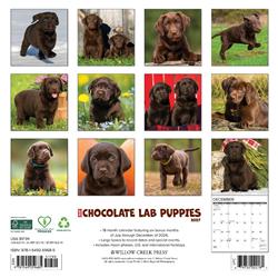 Extra Product Image