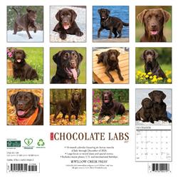Extra Product Image