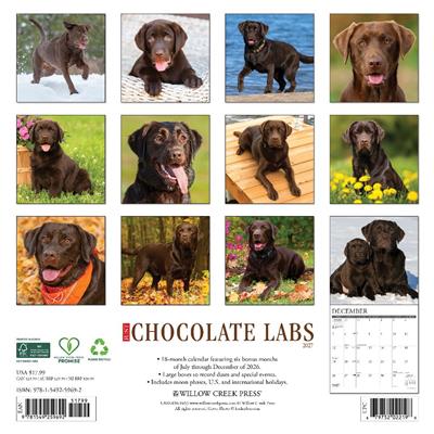 Chocolate Labs 2027 12" x 12" Wall Calendar