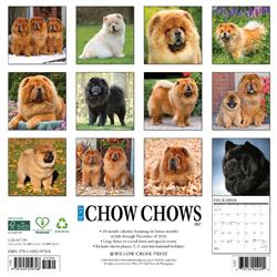 Extra Product Image