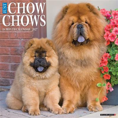 Chow Chows 2027 12" x 12" Wall Calendar