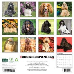 Extra Product Image