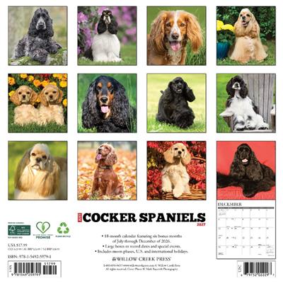 Cocker Spaniels 2027 12" x 12" Wall Calendar