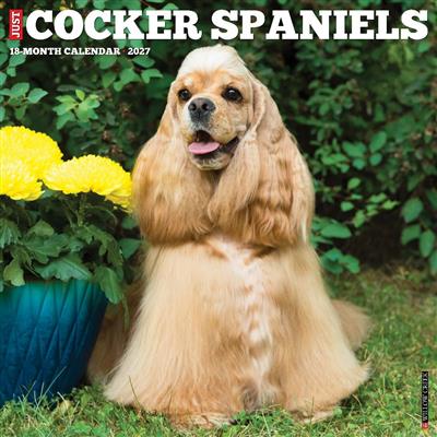Cocker Spaniels 2027 12" x 12" Wall Calendar