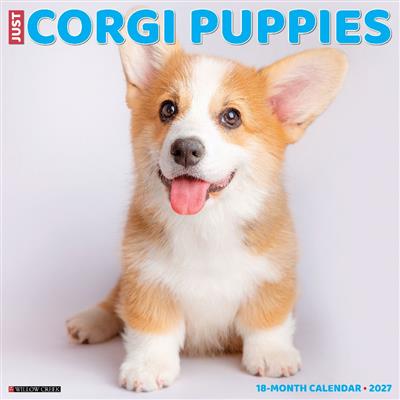 Corgi Puppies 2027 12" x 12" Wall Calendar