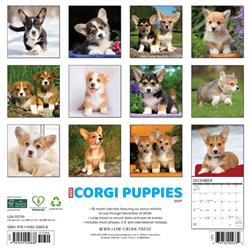Extra Product Image