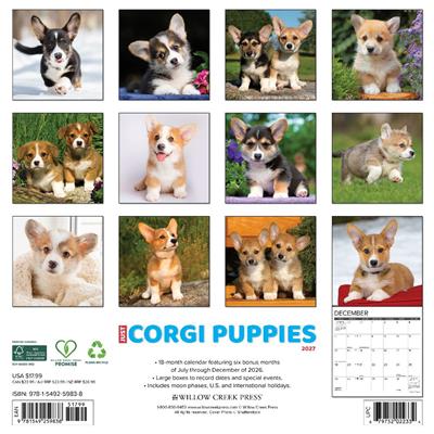 Corgi Puppies 2027 12" x 12" Wall Calendar