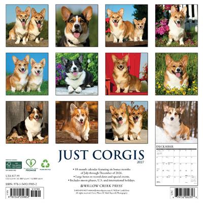 Corgis 2027 12" x 12" Wall Calendar