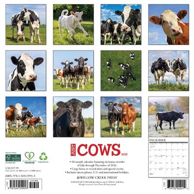 Cows 2027 12" x 12" Wall Calendar