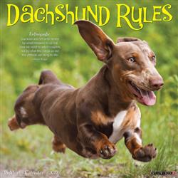 Dachshund Rules 2027 12" x 12" Wall Calendar