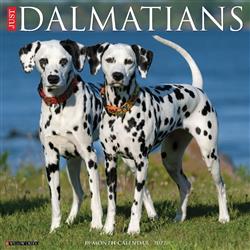 Dalmatians 2027 12" x 12" Wall Calendar