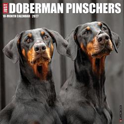 Doberman Pinschers 2027 12" x 12" Wall Calendar