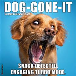 Dog-Gone-It 2027 12" x 12" Wall Calendar