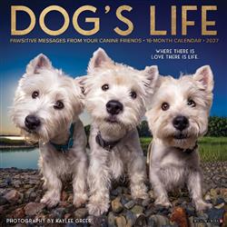 Dog's Life 2027 12" x 12" Wall Calendar