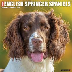 English Springer Spaniels 2027 12" x 12" Wall Calendar
