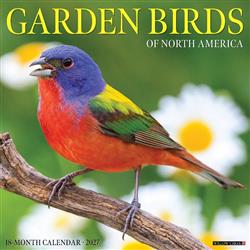 Garden Birds of North America 2027 12" x 12" Wall Calendar