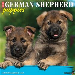 German Shepherd Puppies 2027 12" x 12" Wall Calendar