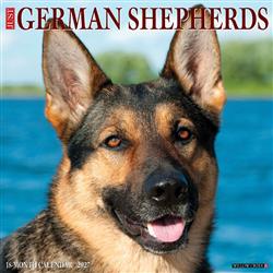 German Shepherds 2027 12" x 12" Wall Calendar