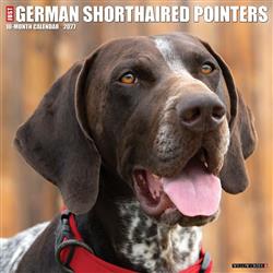 German Shorthaired Pointers 2027 12" x 12" Wall Calendar