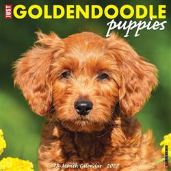 Goldendoodle Puppies 2027 12" x 12" Wall Calendar