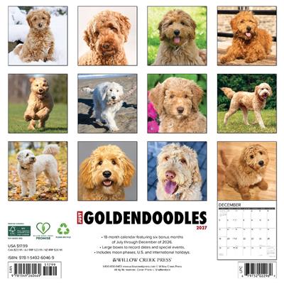 Goldendoodles 2027 12" x 12" Wall Calendar